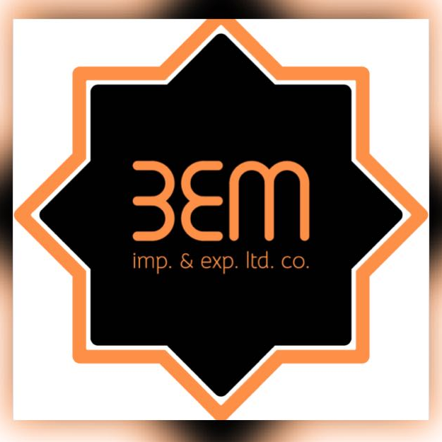 BEM Logo
